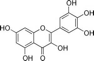 myricetin楊梅素長沙上禾生物植物提取物系列產品