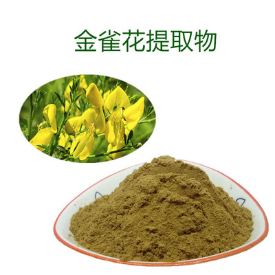 線葉金雀花粉 金雀花粉 金雀花原粉