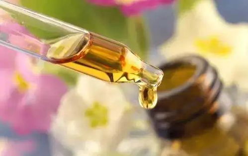 拒絕皮膚干燥飄雪，養(yǎng)生堂白樺樹(shù)汁身體乳要你好看