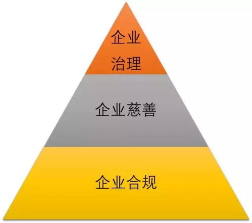社會問題驅動商業(yè)創(chuàng)新 MSC咨詢創(chuàng)始人兼CEO譚亞幸的社會經濟咨詢服務探索